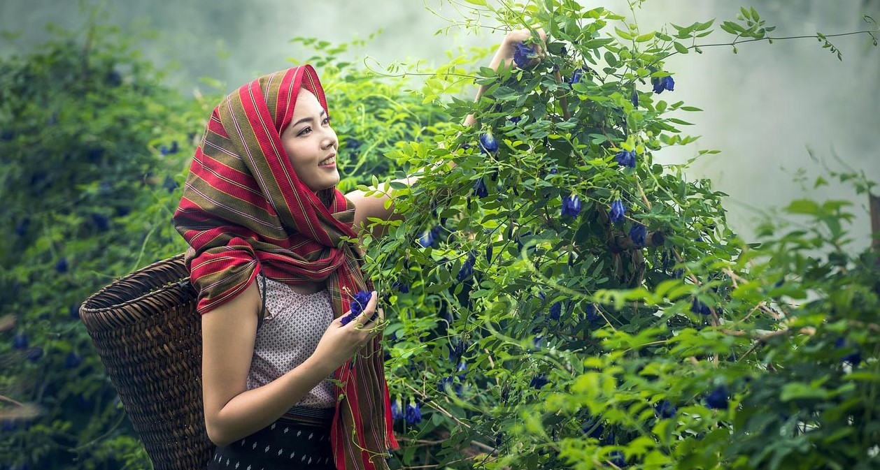 মানসিক চাপ? দূর করার সহজ একটি উপায় জেনে নিন