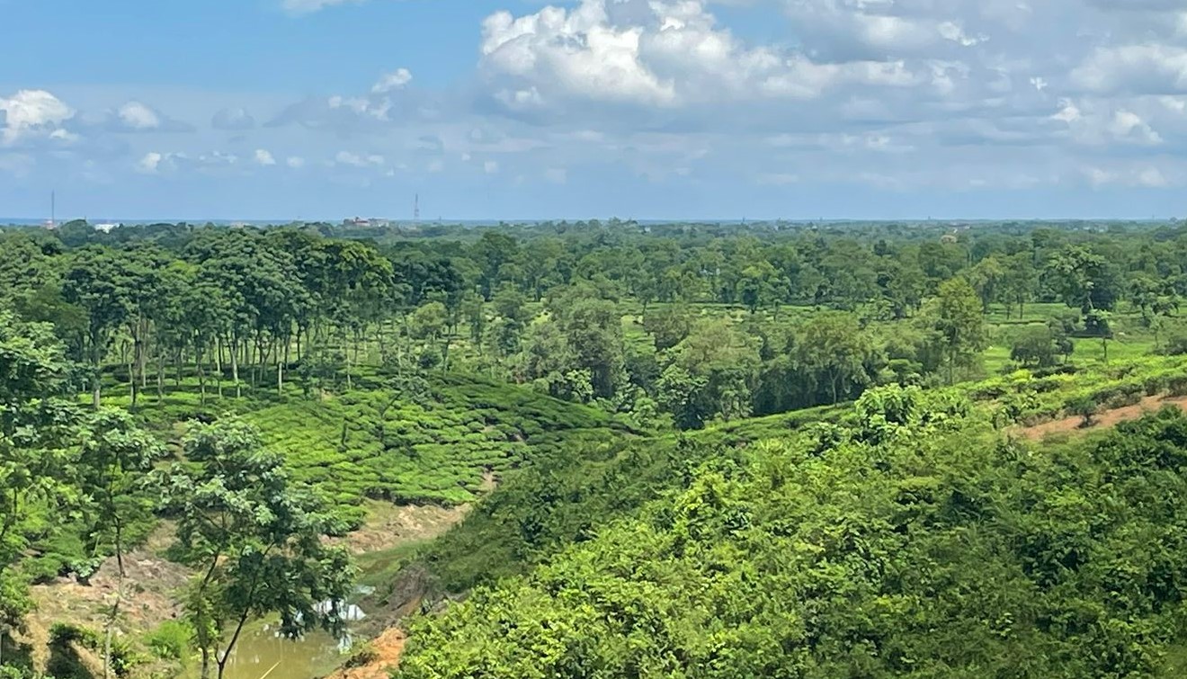 একদিনে শ্রীমঙ্গল ট্যুর প্ল্যান