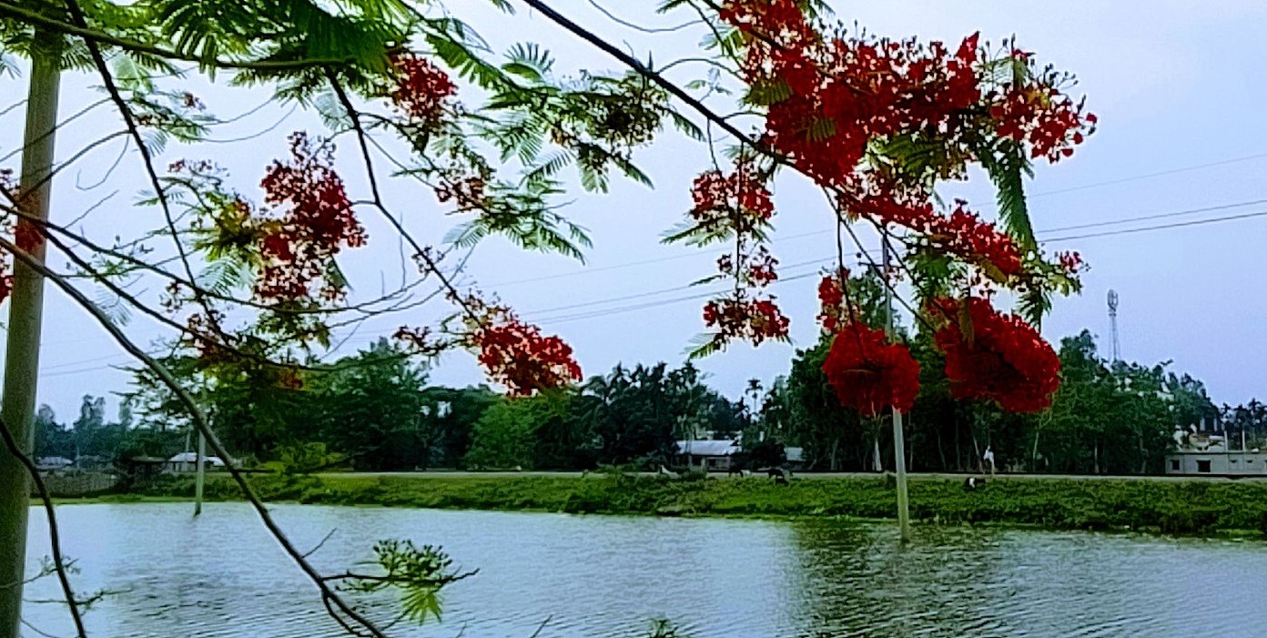 গ্রীষ্মকাল: প্রকৃতিতে মিলেছে নতুন দিগন্ত 