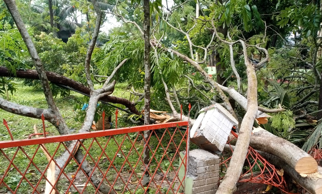 সোনাতলায় কালবৈশাখী ঝড়ের তাণ্ডব, ব্যাপক ক্ষয়ক্ষতি