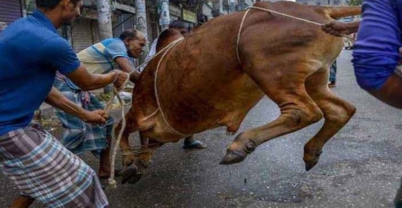 ঈদের দ্বিতীয় দিনেও ঢাকায় চলছে পশু কোরবানি