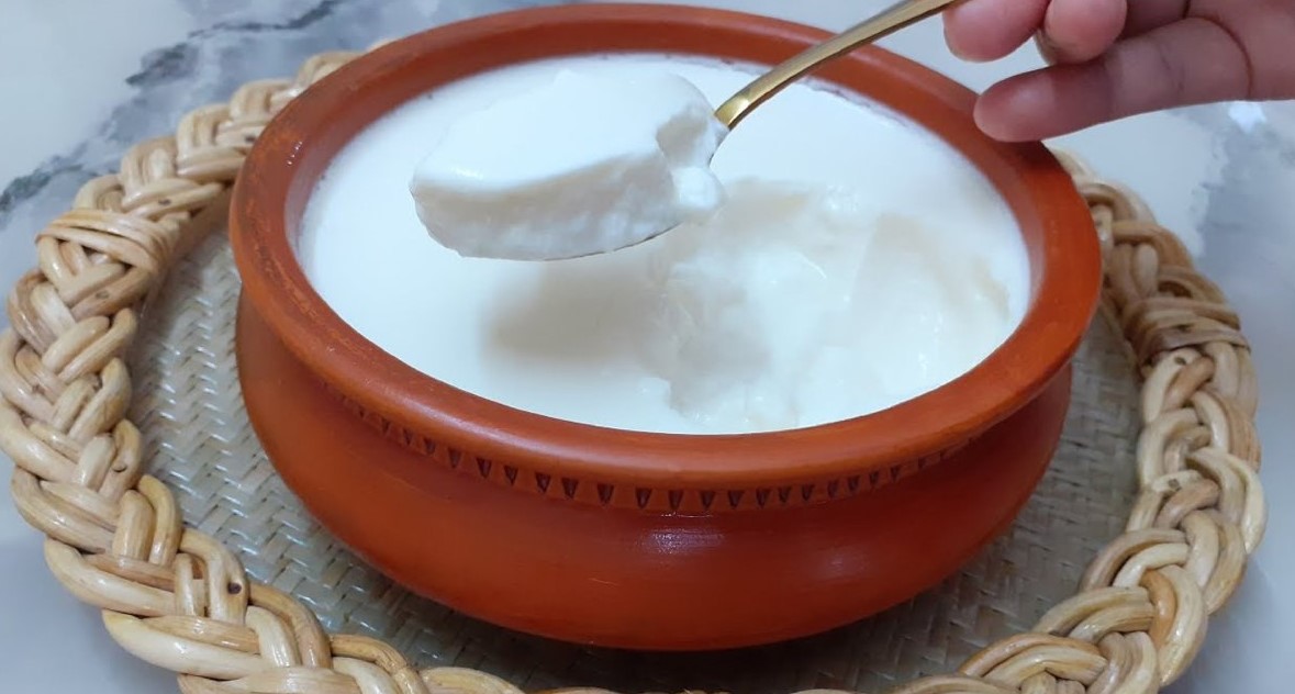প্রতি রাতে দই খেলে কী হয়?