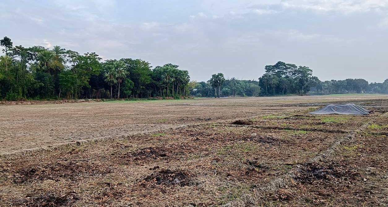 ভাঙ্গার ভাঙ্গারদিয়া ফসলি মাঠ পৃথিবীর গুরুত্বপূর্ণ স্থান!
