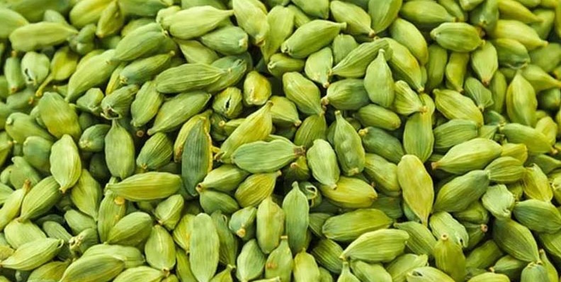 ব্লাড প্রেসার নিয়ন্ত্রণে রাখবে এলাচ