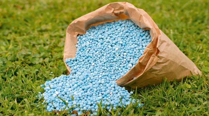 সৌদি আরব থেকে ৪০ হাজার টন ইউরিয়া সার আনবে সরকার