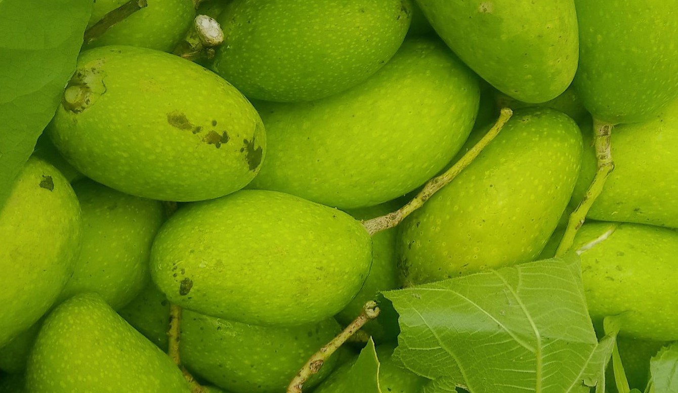 কাঁচা আম খেলে শরীরে যা ঘটে