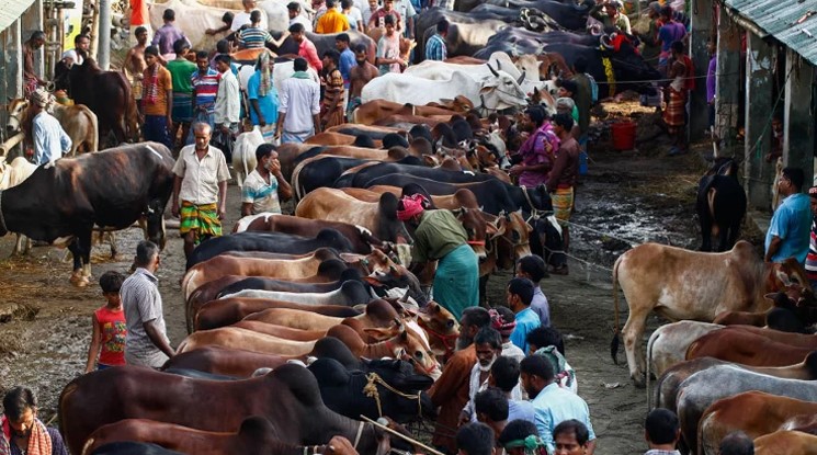রাজধানীতে বসছে ২৬ অস্থায়ী হাট