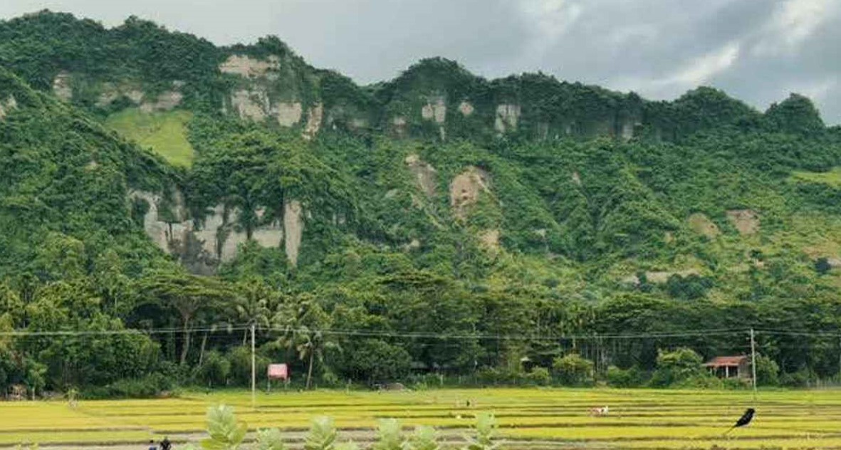 স্টাফ রিপোর্টার