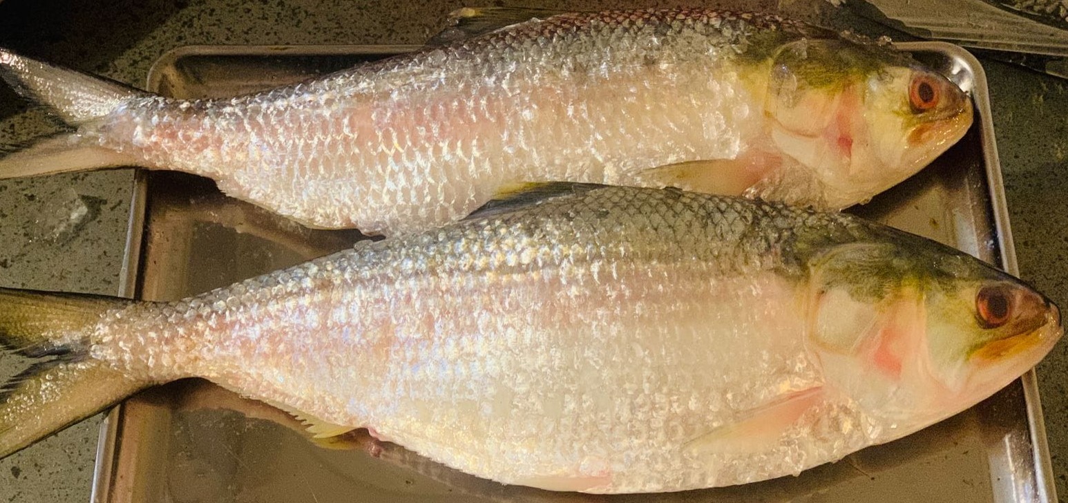 ইলিশের বাজারে আকাল, দাম শুনে ক্রেতাদের মাথায় হাত