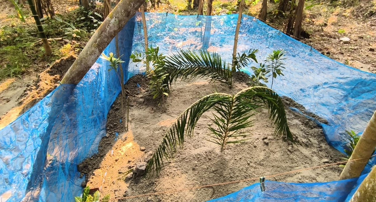 পাশাপাশি কবরে শায়িত সাদ্দামের স্ত্রী-সন্তান