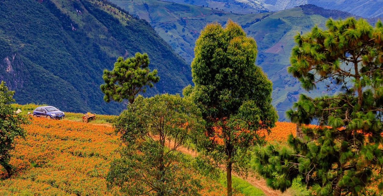 প্রথম বিদেশ ভ্রমণের আগে জেনে নিন