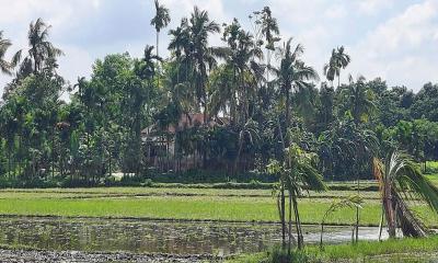 ময়মনসিংহে পুরো গ্রাম বিক্রি করে দিলেন এক ব্যক্তি