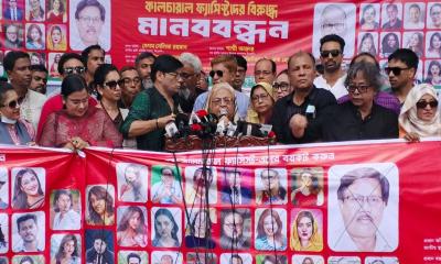 আপনারা শিল্পী মানুষ, শিল্পচর্চা করেন: সেলিমা রহমান