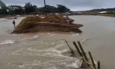 সুনামগঞ্জে হাওরের বাঁধ ভেঙে তলিয়ে গেছে জমির ফসল