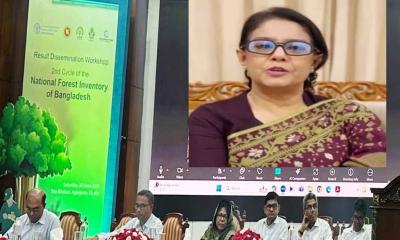 বন ও প্রাকৃতিক সম্পদের ব্যবস্থাপনায় সবার অংশগ্রহণ জরুরি