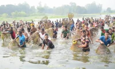 চলনবিলের ‘পল্লা উৎসব’ গ্রামীণ বাংলার এক বর্ণিল প্রতিচ্ছবি