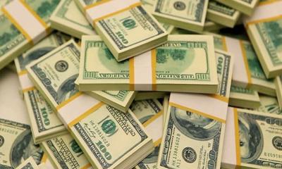 বৈদেশিক মুদ্রার রিজার্ভ ৩১.০৯ বিলিয়ন ডলারে দাঁড়িয়েছে