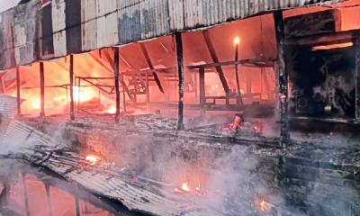 সিরাজগঞ্জে পৃথক অগ্নিকাণ্ডে পাঁচ গরু ও শাড়ি কারখানা পুড়ে ছাই