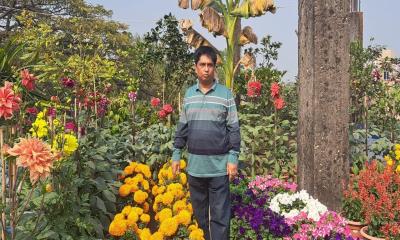 বাঞ্ছারামপুরে সমাজসেবী রিপনের ছাদ বাগান এলাকায় সাড়া ফেলেছে