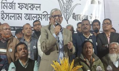 রাজনীতি থেকে অবসর নিতে চাই: মির্জা ফখরুল