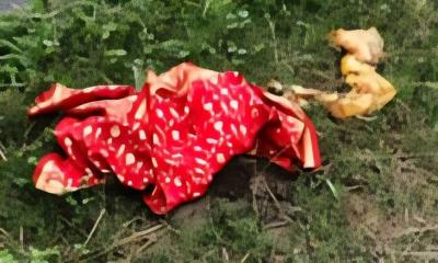মহাসড়কে নারীর মরদেহ উদ্ধার, পাশে বিয়ের লাল শাড়ি