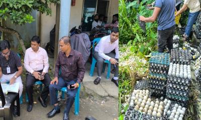 পাকুন্দিয়ায় দুই লাখ পচা ডিম ধ্বংস, জরিমানা তিন লাখ টাকা