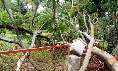 সোনাতলায় কালবৈশাখী ঝড়ের তাণ্ডব, ব্যাপক ক্ষয়ক্ষতি