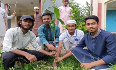 বাঞ্ছারামপুরে ছাত্রশিবিরের মাসব্যাপী বৃক্ষরোপণ কর্মসূচী পালিত