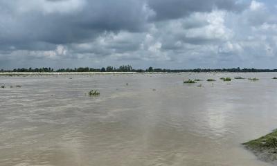 বন্যায় বিপর্যস্ত লালমনিরহাট জনপদ, ভয়ঙ্কর রূপে তিস্তা ও ধরলা