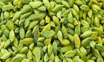 ব্লাড প্রেসার নিয়ন্ত্রণে রাখবে এলাচ