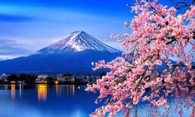 জাপানের ‘অলিখিত নিয়ম’ যেগুলো না জানলে বিব্রত হতে পারেন পর্যটকেরা