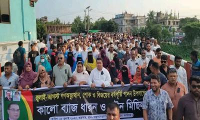 রাজপথের পরীক্ষিত সৈনিক কৃষিবিদ মেহেদী হাসান পলাশ