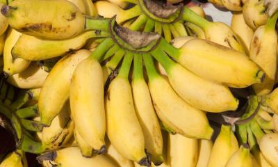 প্রতিদিন কতগুলো কলা খাওয়া যাবে?