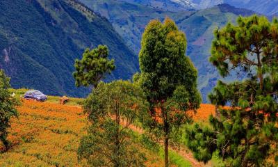 প্রথম বিদেশ ভ্রমণের আগে জেনে নিন