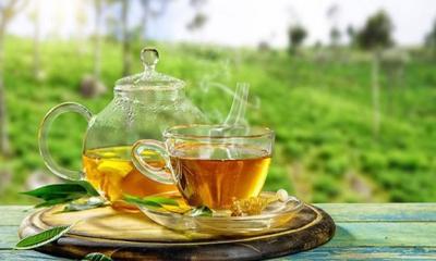 জাতীয় চা দিবসের তারিখ পরিবর্তন করল সরকার 